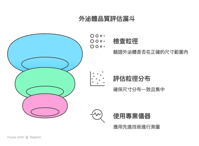 什麼是外泌體顆粒？粒徑大小是關鍵指標