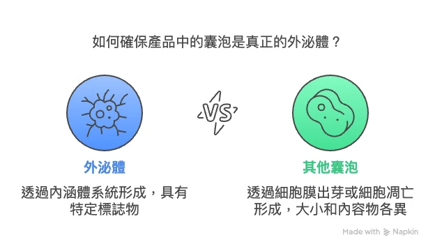 外泌體囊泡與其他顆粒的差異