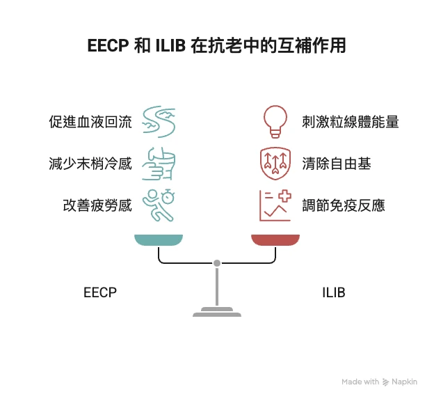 EECP、ILIB 為什麼與抗老有關