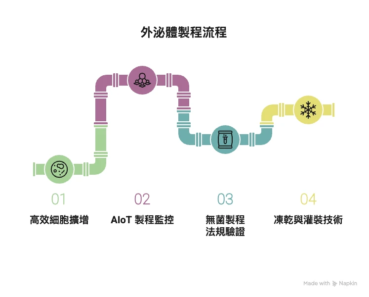 什麼是外泌體製程從細胞到凍晶的完整流程